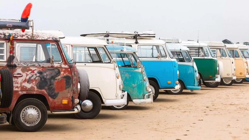 VW camper vans lined up near beach.