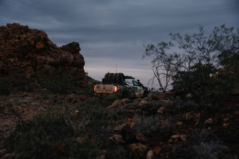 Amarok in the desert at sunset