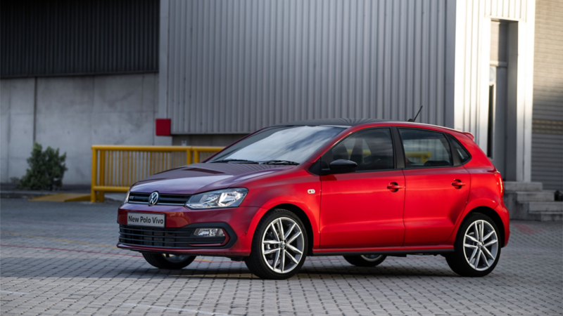 Polo Vivo
