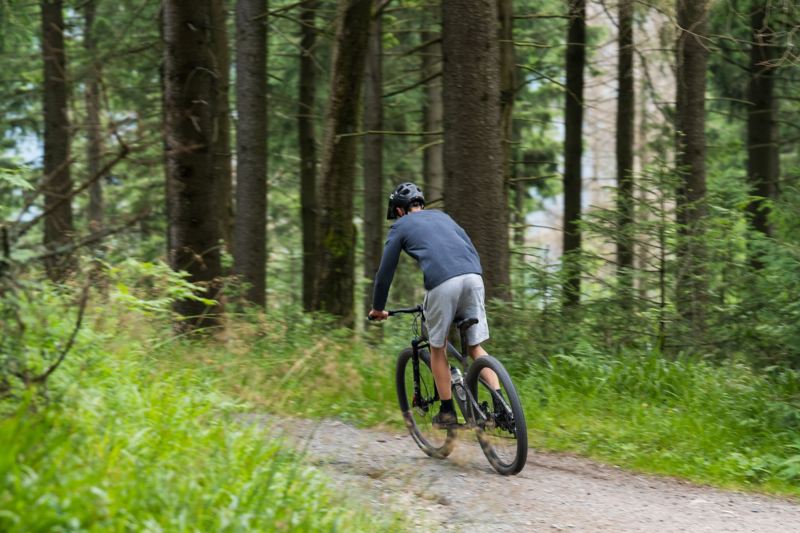 Ein Mountainbikefahrer fährt im Wald.