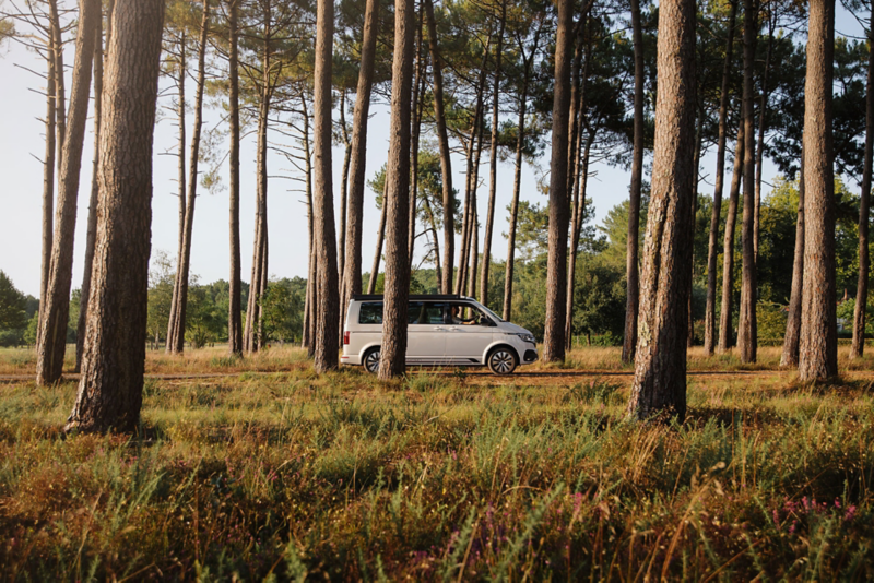 VW California 6.1 sur les routes en forêt vue de côté