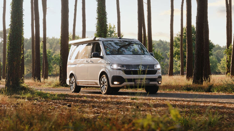 California 6.1 blanc sur une route de forêt Volkswagen Véhicules Utilitaires