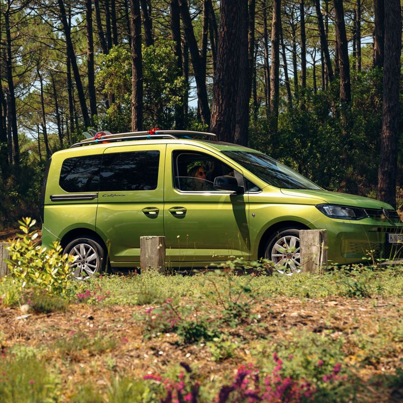 VW Caddy California vert en forêt