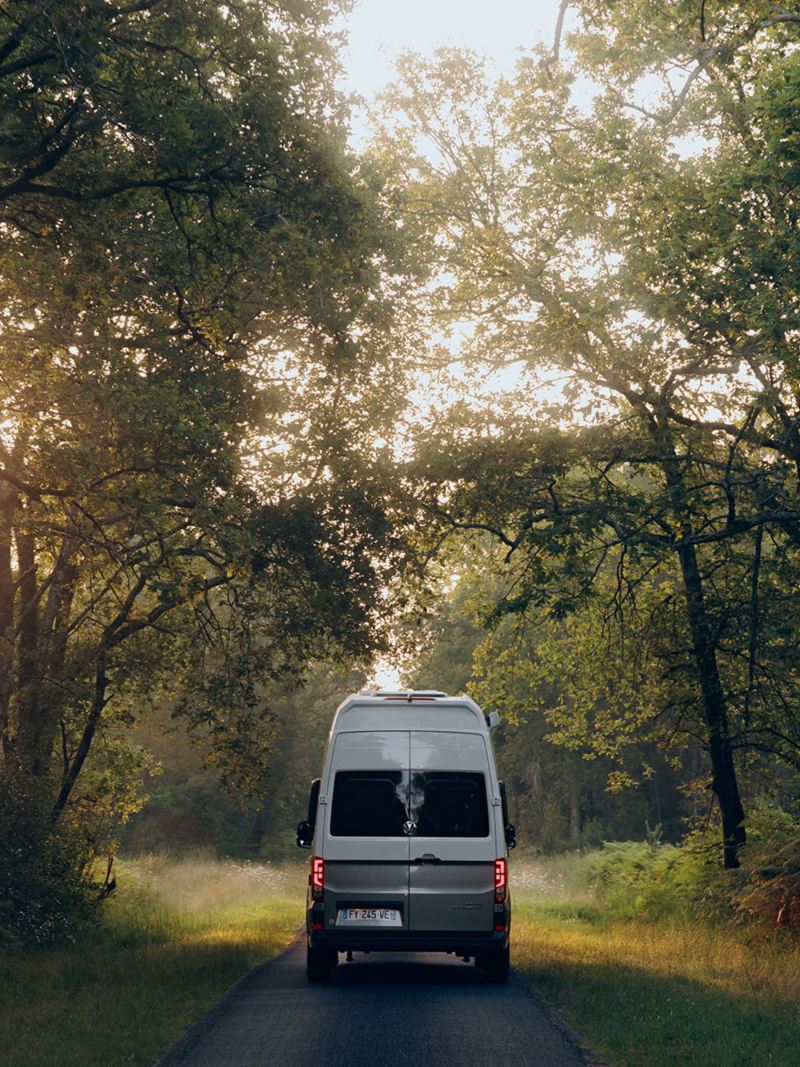 vue d'arrière du Grand California VW avec couché de soleil dans une forêt