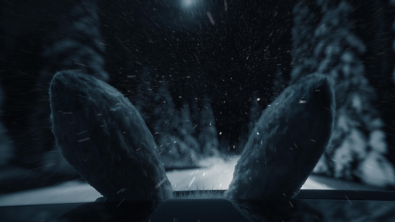 Hasenohren schauen aus dem Schiebedach eines auf einer winterlichen Straße fahrendes Fahrzeugs.