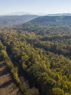 Una imagen del Cherokee National Forest donde Volkswagen of America y The Conservation Fund protegen 1,500 acres.
