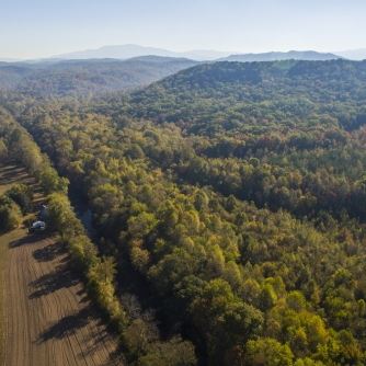 A picture of Cherokee National Forest where 1,500 acres are protected by Volkswagen of America and The Conservation Fund.
