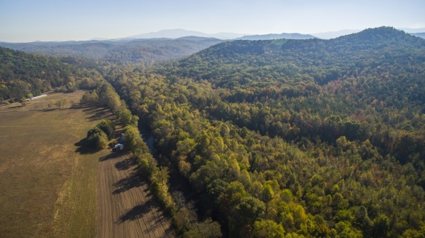 A picture of Cherokee National Forest where 1,500 acres are protected by Volkswagen of America and The Conservation Fund.