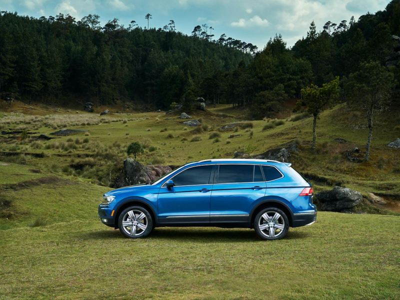 Silhouette of pre-owned silk blue metallic Volkswagen Tiguan parked and surrounded by a vibrant green pasture. 