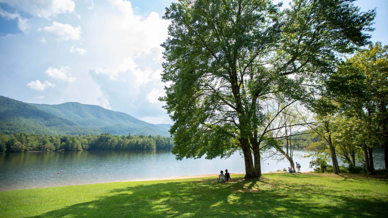 A couple observes a lake while sitting in the shade of a large tree.