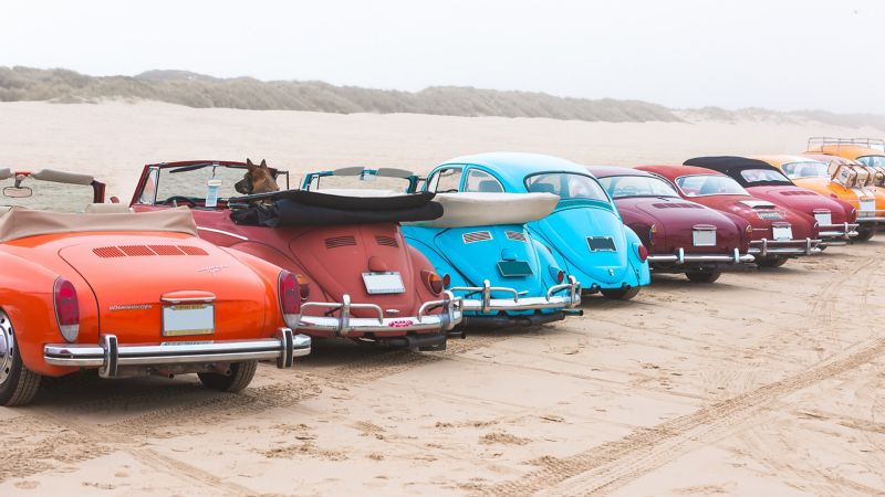 Vintage Volkswagen vehicles lined up on the beach