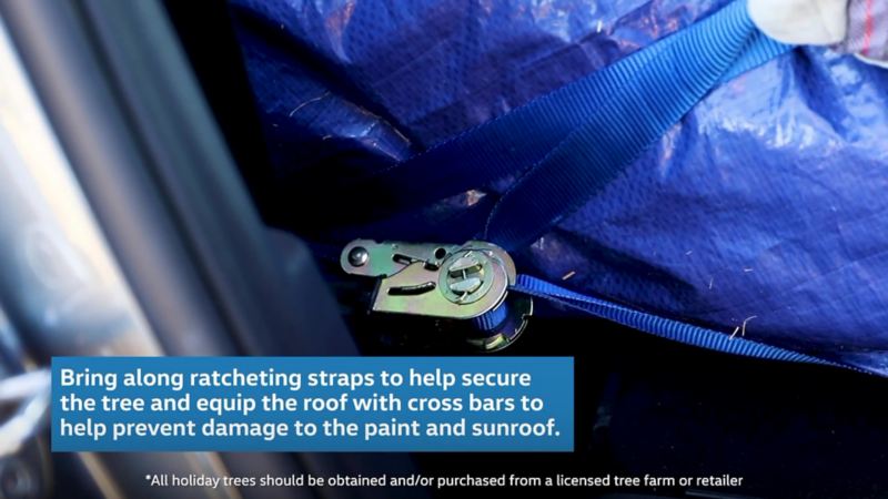 Bring along ratcheting straps to help secure the tree and equip the roof with cross bars to help prevent damage to the paint and sunroof.
