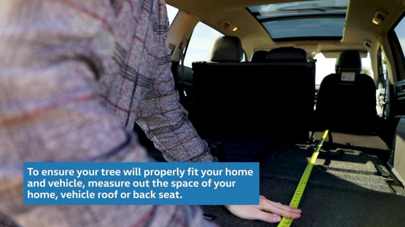 Para asegurarse de que su árbol se ajusta correctamente a su casa y a su vehículo, mida el espacio de su casa, el techo del vehículo o el asiento trasero.