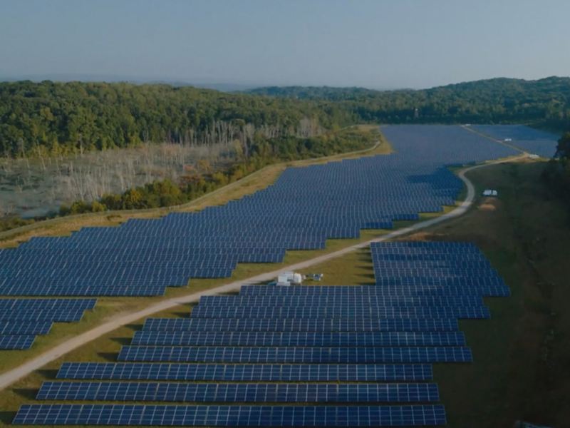 El vasto conjunto solar de Volkswagen en su planta de Chattanooga se encuentra entre acres de terreno forestal.