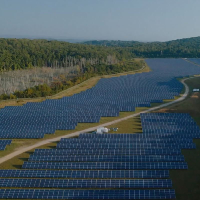 El vasto conjunto solar de Volkswagen en su planta de Chattanooga se encuentra entre acres de terreno forestal.