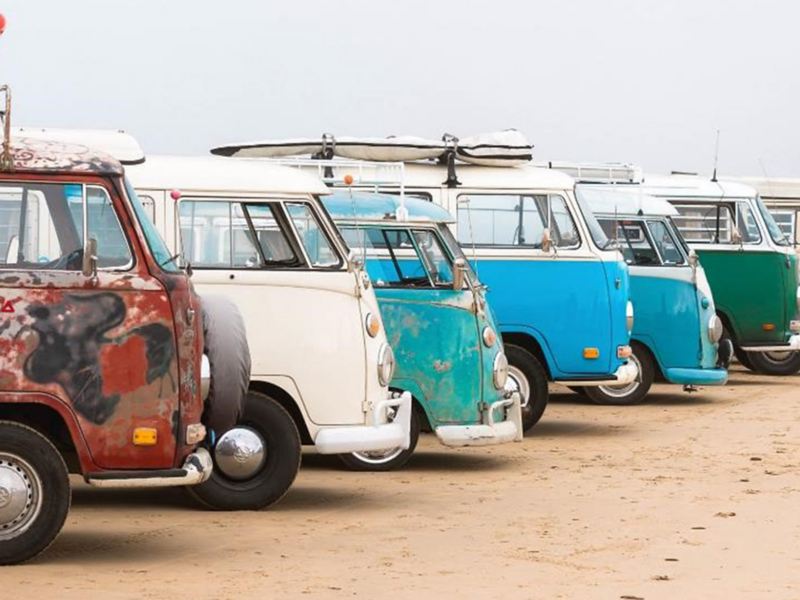 Vintage Volkswagen buses lined up on the beach