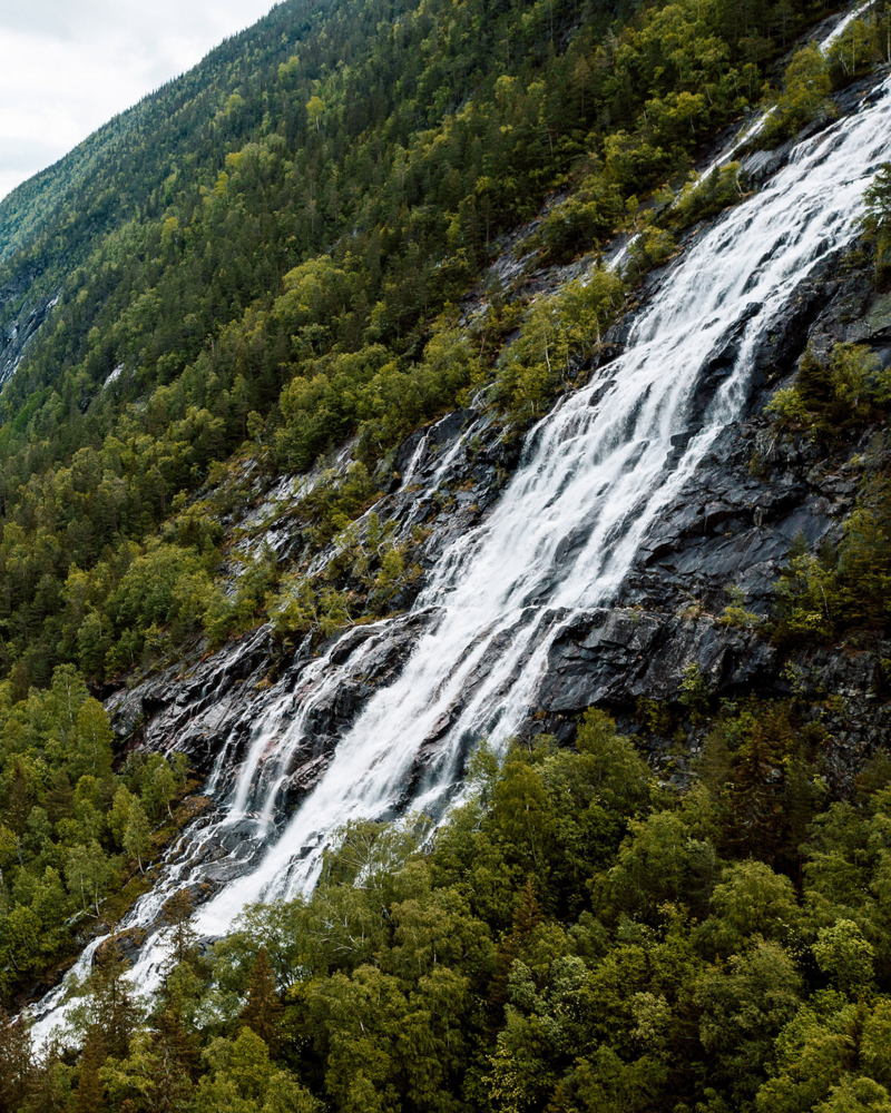 Aufnahme eines Wasserfalls umgeben von Bäumen