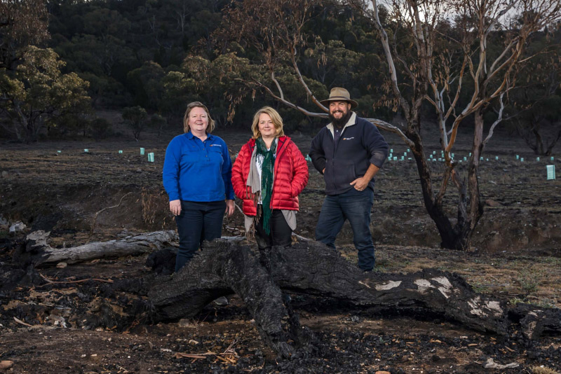Three people stood in woodland