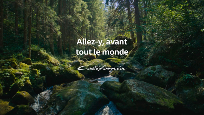 Un lettrage blanc et manuscrit « California » en écriture cursive, sous le titre « Allez-y, avant tout le monde » En arrière-plan, un paysage forestier paisible avec un ruisseau qui coule doucement.
