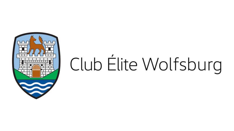 Image with Wolfsburg logo