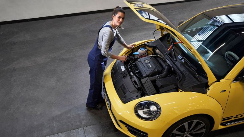 A VW service employee changes the oil of a Beetle during an inspection with oil change