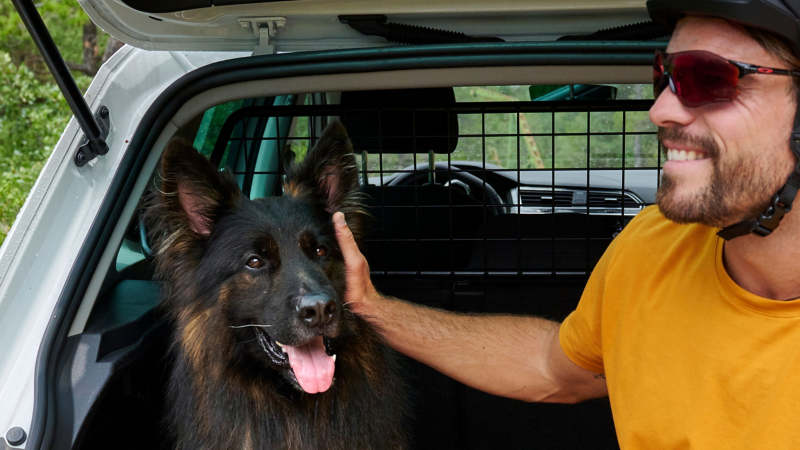 En mand nusser sin hund der sidder i et bagagerum