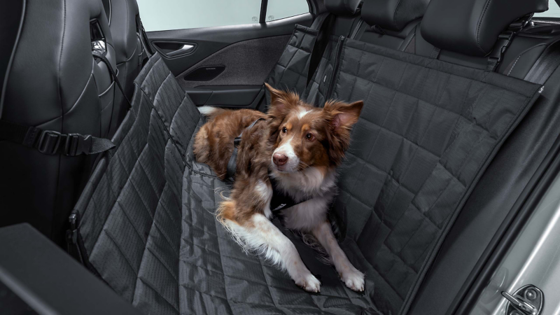Back seat of VW ID.3 Neo, with dog lying on rear seat cover from VW Accessories