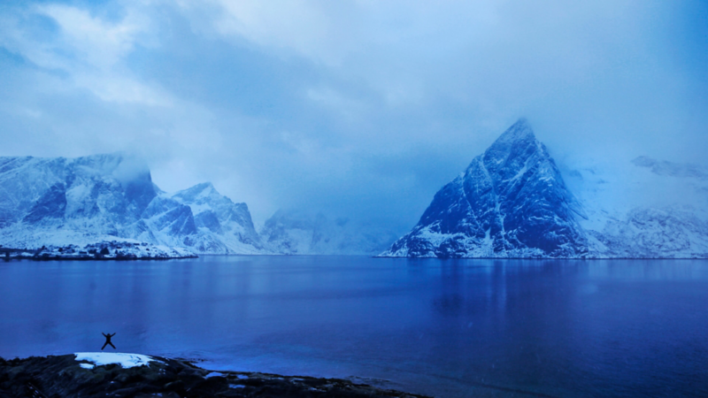 Krysshopp vid Lofoten