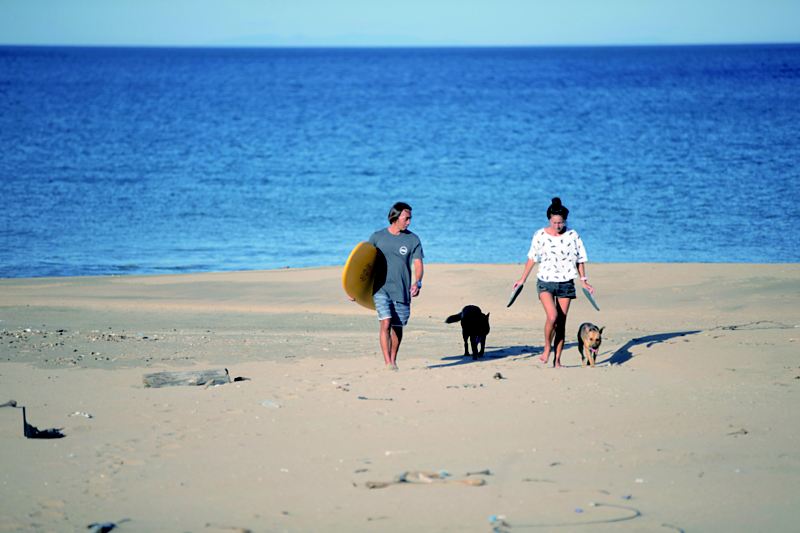 陳東銘拿著衝浪板與家人跟狗走在沙灘上