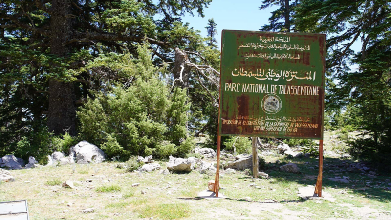 Un panneau en métal vert rouillé se dresse sur une clairière herbeuse et marque l’entrée du «Parc National de Talassemtane» au Maroc. Le panneau porte des inscriptions en français et en arabe.