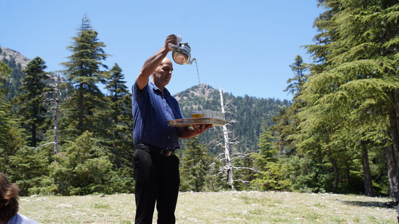 Un homme verse du thé marocain traditionnel depuis une théière en argent sur un plateau de verres sur une clairière de forêt.