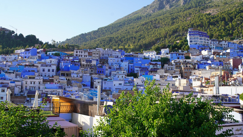 Vue sur les maisons peintes en bleu de Chefchaouen, surplombant une colline boisée.