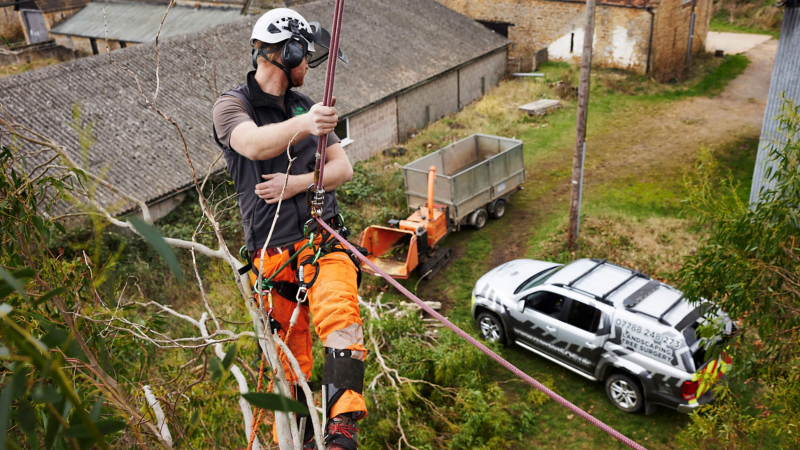 A man on a tree overlooking an Amarok pick-up van