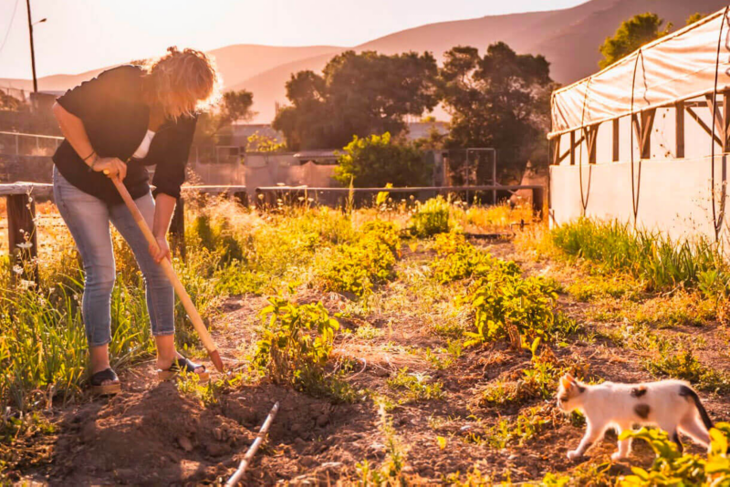 Bettina Mohn dans son jardin avec son chat.