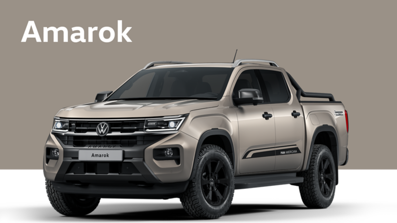 Brown Amarok on a tan background
