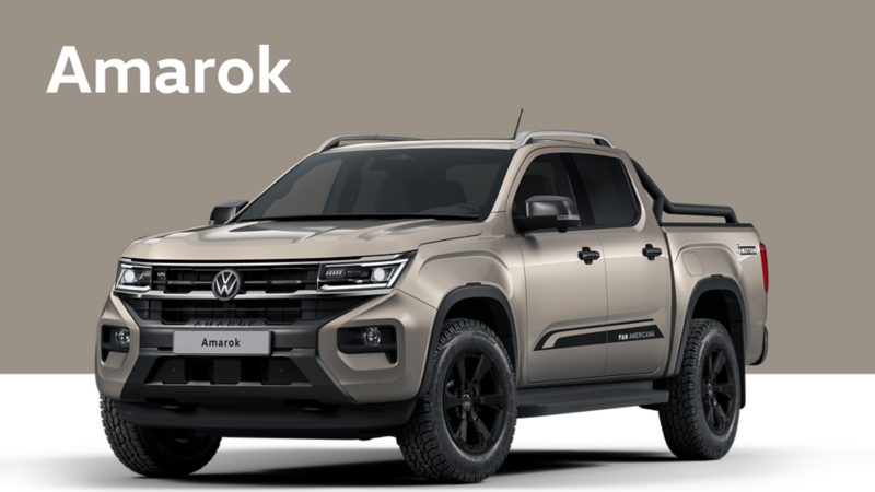 Amarok on beige background