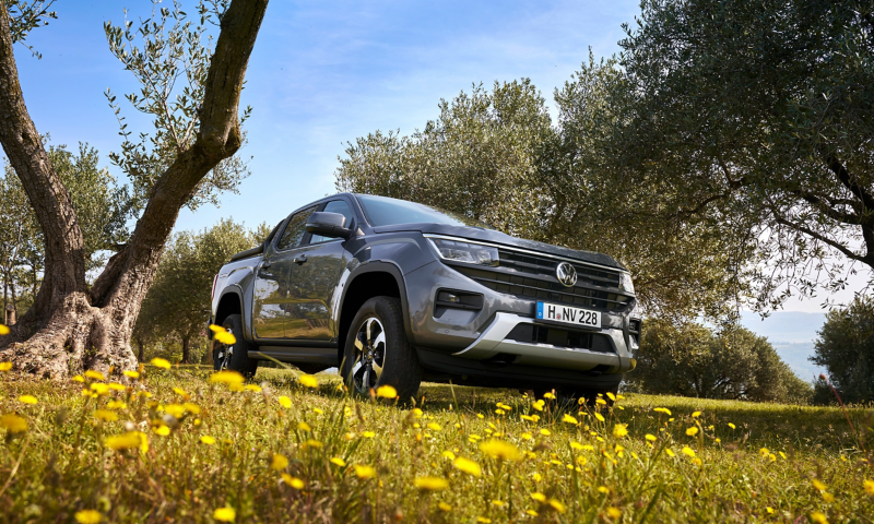 Ein VW Amarok steht in der Natur auf einer Wiese, daneben stehen ein paar Bäume.
