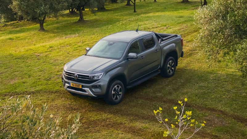 Un Amarok gris se trouve dans un verger.
