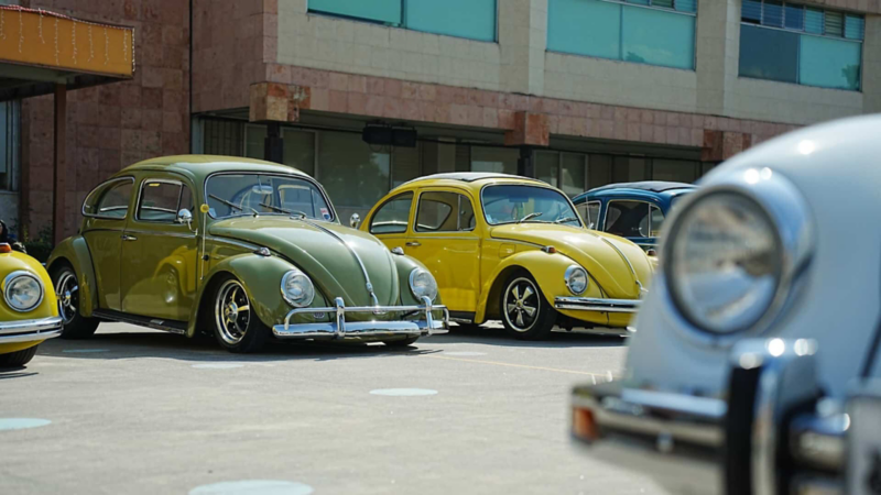 Vochos de colección verde y amarillo exhibidos en evento de autos clásicos Treffen.