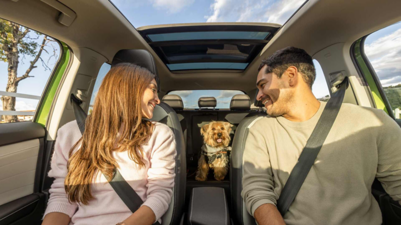 Pareja dentro de una camioneta Taos miran a un perrito sentado en asientos traseros. 