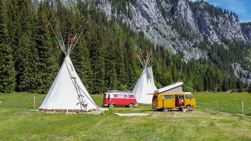 Zwei historische VW Busse stehen vor einem Tipi in der Natur.