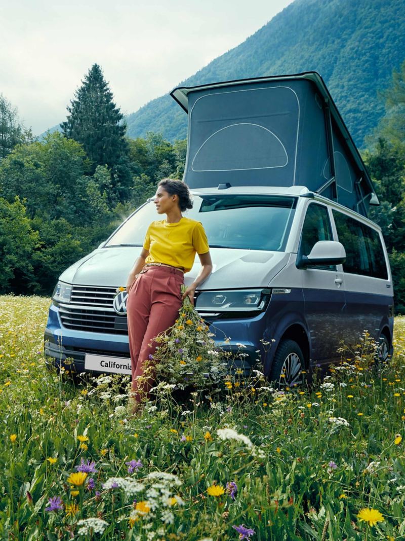 California parked in a summer meadow