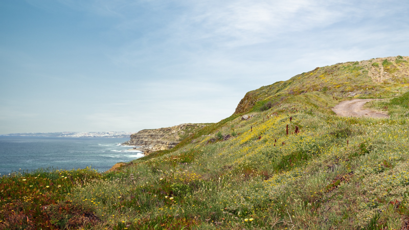 A path along the coast – perfect for a spot of cycling.