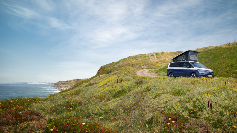 Ein moderner, zweifarbiger VW California Ocean mit aufgestelltem Schlafdach steht auf einer blühenden Klippe direkt an der Küste unter einem weiten, leicht bewölkten Himmel.