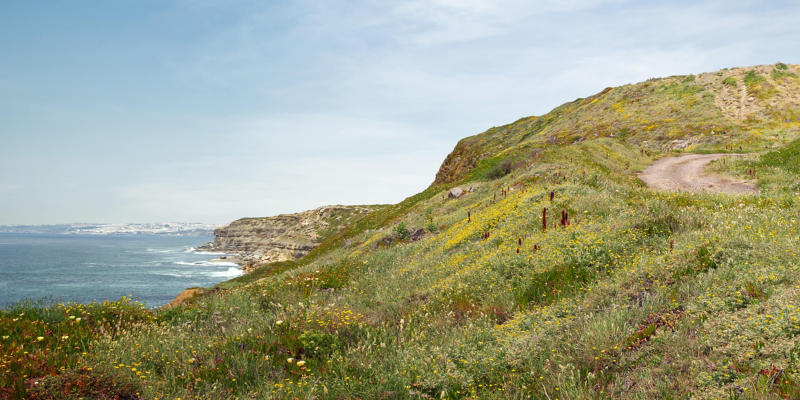 Steilküste am Meer.