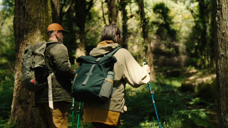 A woman and a man hike with rucksacks through a green forest.