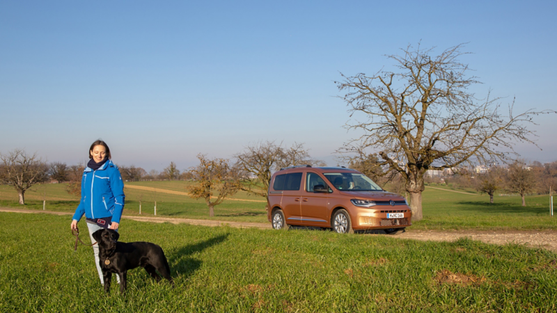 Frau mit Hund steht im Feld vor dem neuen Caddy