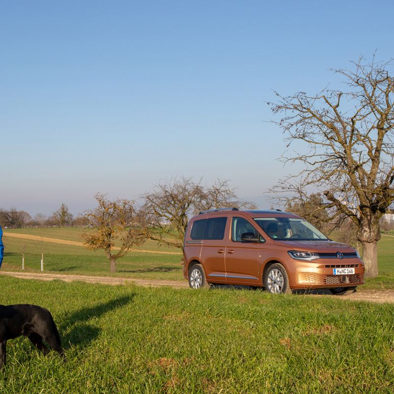 Frau mit Hund steht im Feld vor dem neuen Caddy