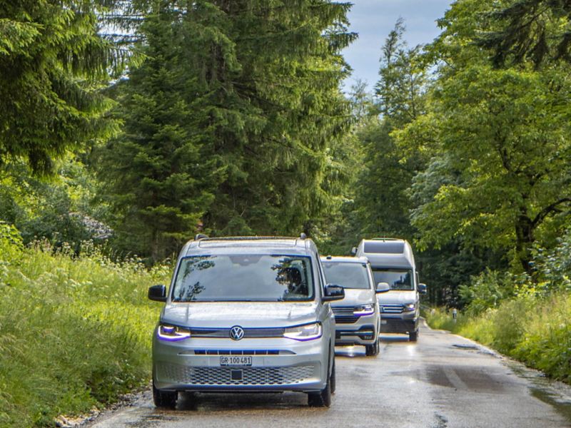 Caddy California, Grand California und California 6.1 fahren hintereinander auf einer Waldstrasse