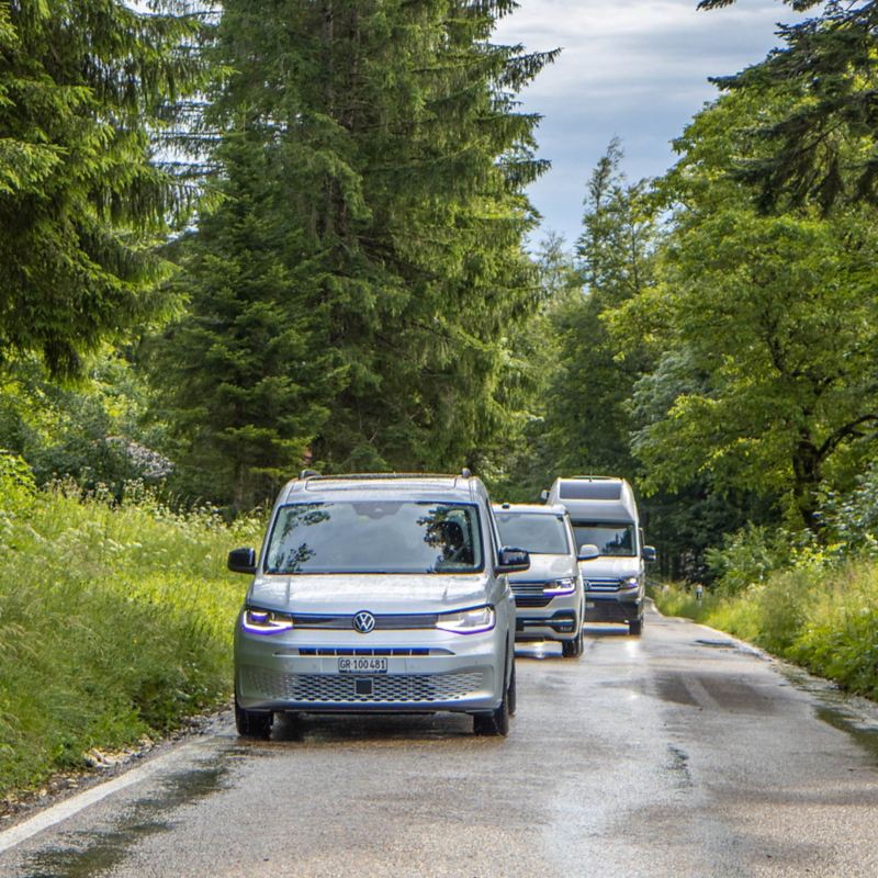 Caddy California, Grand California und California 6.1 fahren hintereinander auf einer Waldstrasse